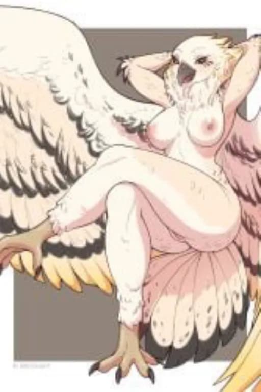鹰娘