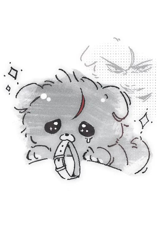 应黎壬