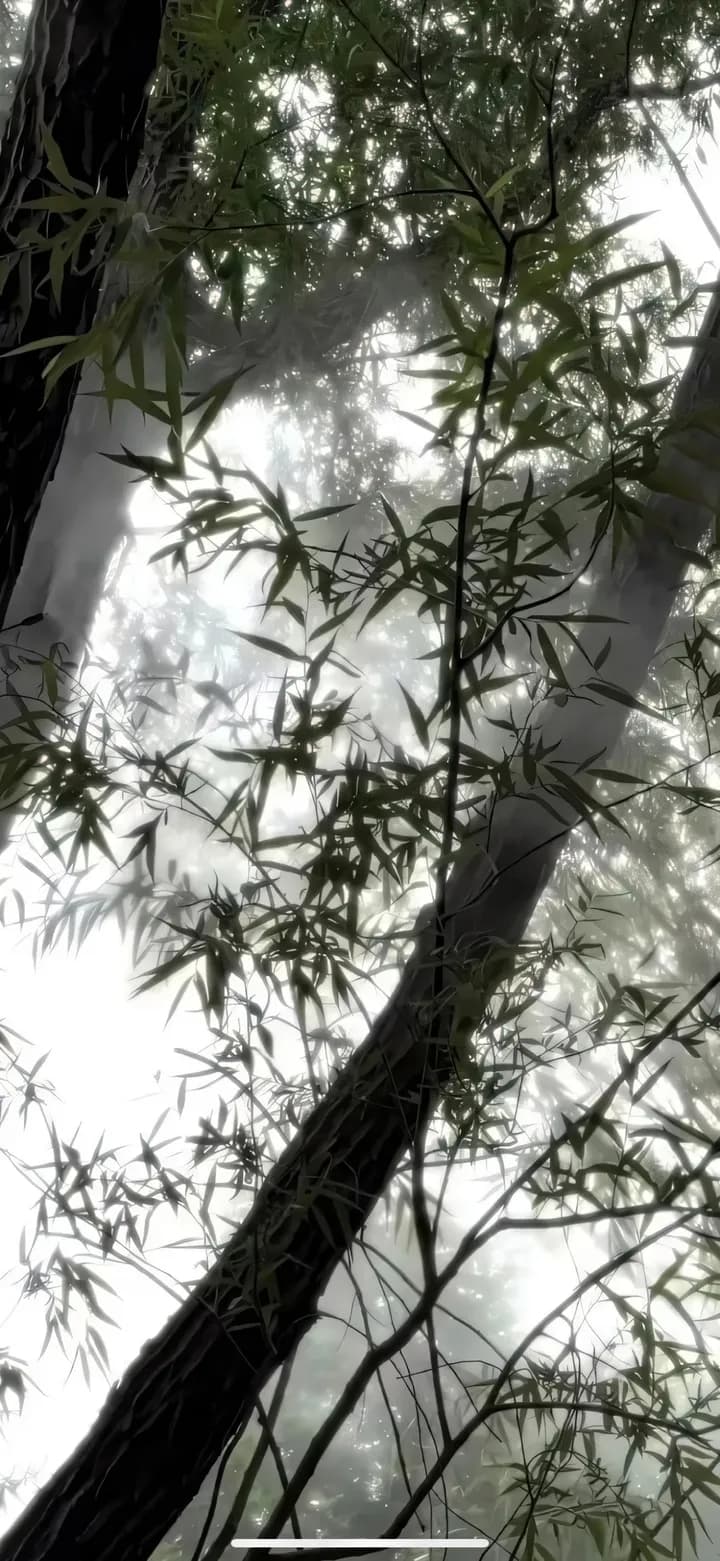 宁霁月