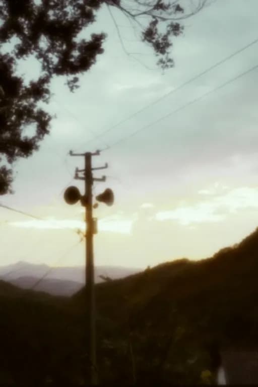 陈眠