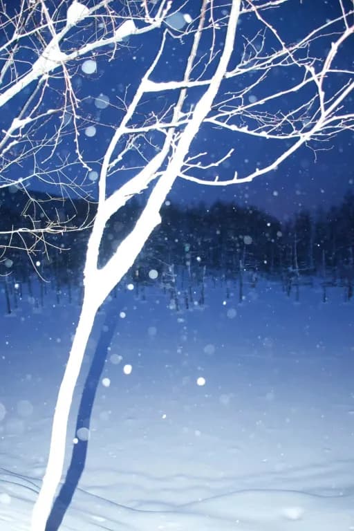 周谒雪