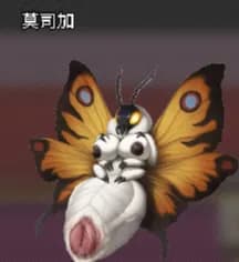 榨精飞蛾