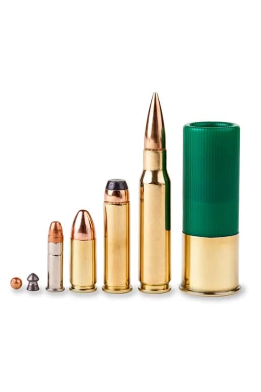 因为没钱给我的AI女友买了最小号的身体