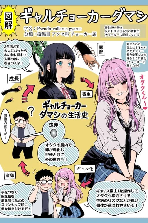 拟态项圈