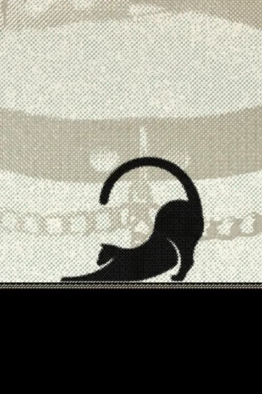 在兽人世界做宠物人的日子1.1