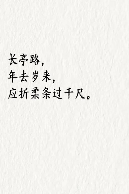 赵长亭